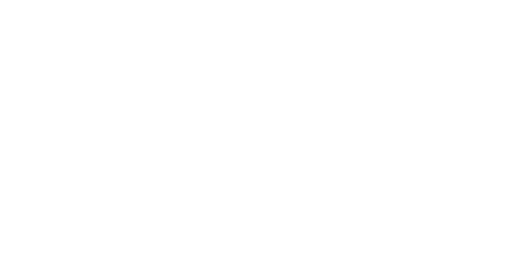 Rotor